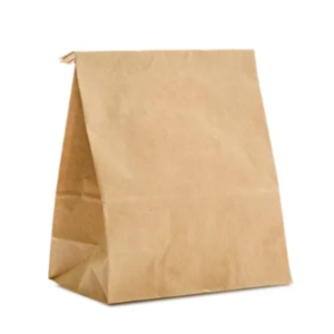 SACO DELIVERY N 5 24X10X38 CM C/ 50 UNID